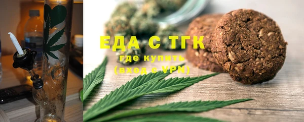 индика Алзамай
