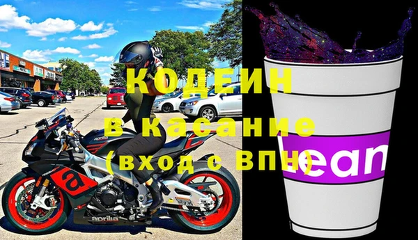 индика Алзамай