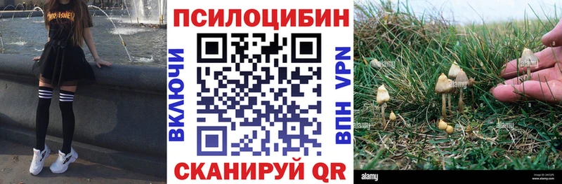 Галлюциногенные грибы Cubensis  купить   mega зеркало  Кропоткин 